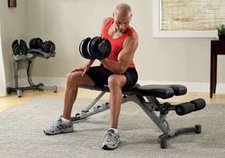 bicep-dumbbell-curl