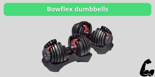bowflex dumbbells