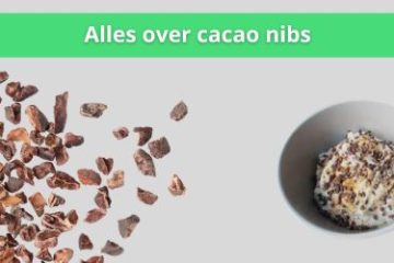 wat zijn cacaonibs