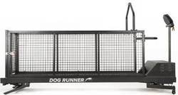 dog-runner