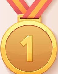goud-droog-challenge-medaille