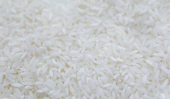 witte-rijst