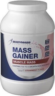 mass-gainer-action