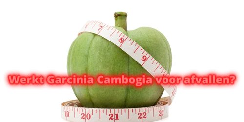 Garcinia Cambogia afvallen